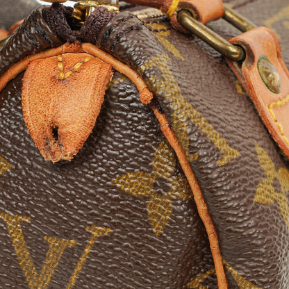 Louis Vuitton Nano Speedy Mini Tasche aus Monogram Canvas
