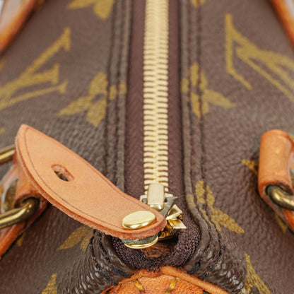 Louis Vuitton Nano Speedy Mini Tasche aus Monogram Canvas