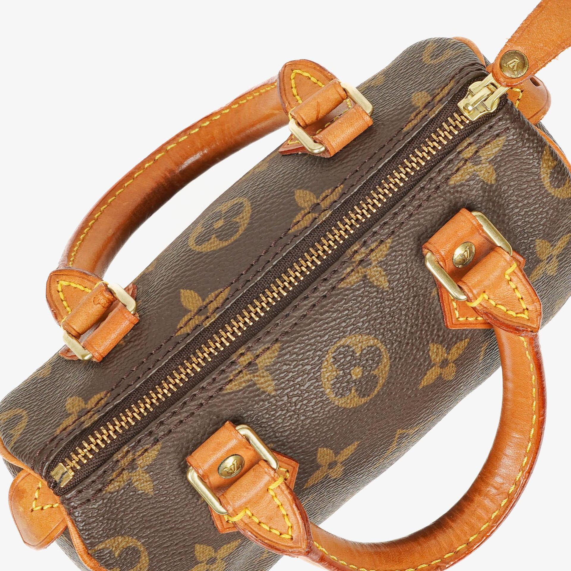 Louis Vuitton Nano Speedy Mini Tasche aus Monogram Canvas