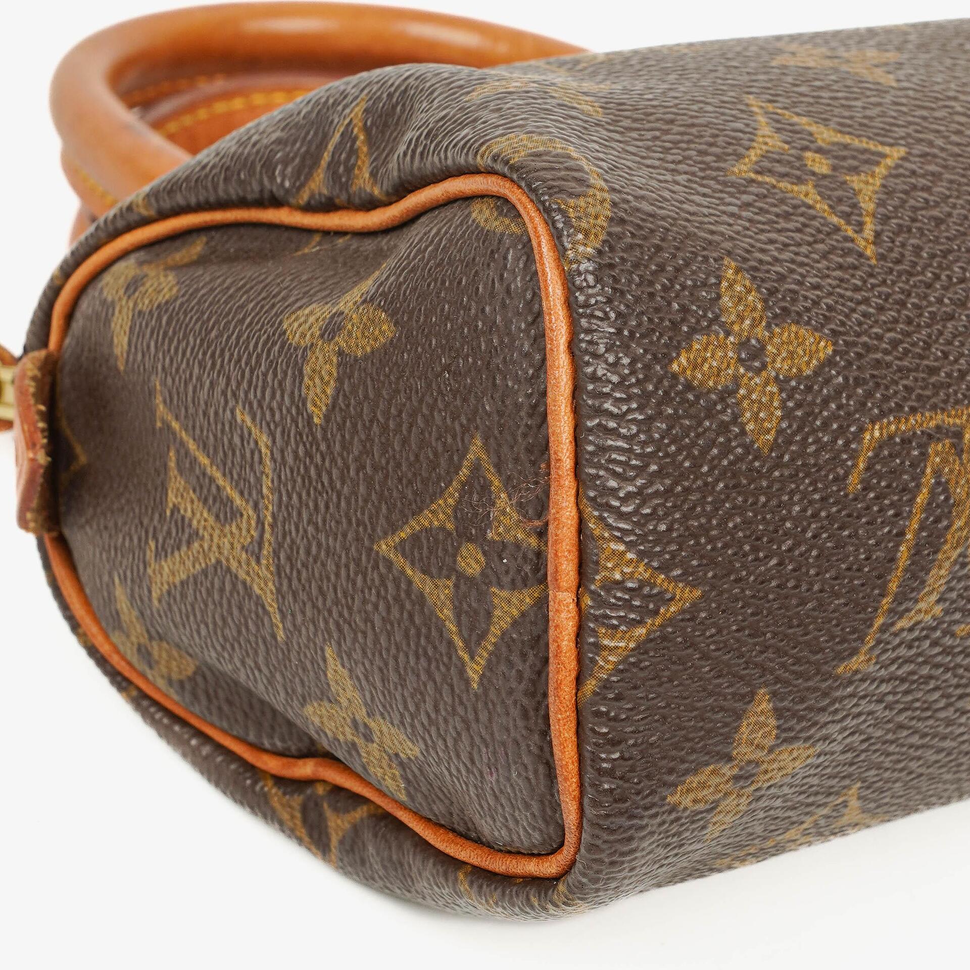 Louis Vuitton Nano Speedy Monogram Canvas Mini Tasche