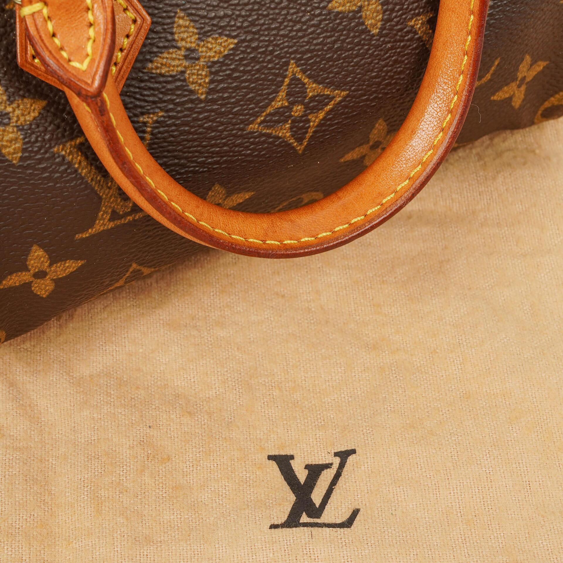 Louis Vuitton Nano Speedy Mini-Tasche aus Monogram Canvas