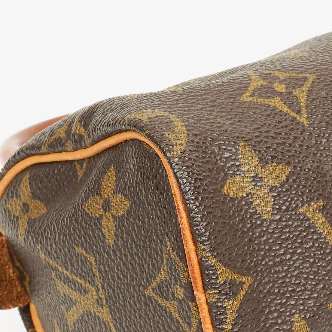 Louis Vuitton Nano Speedy Mini Tasche aus Monogram Canvas