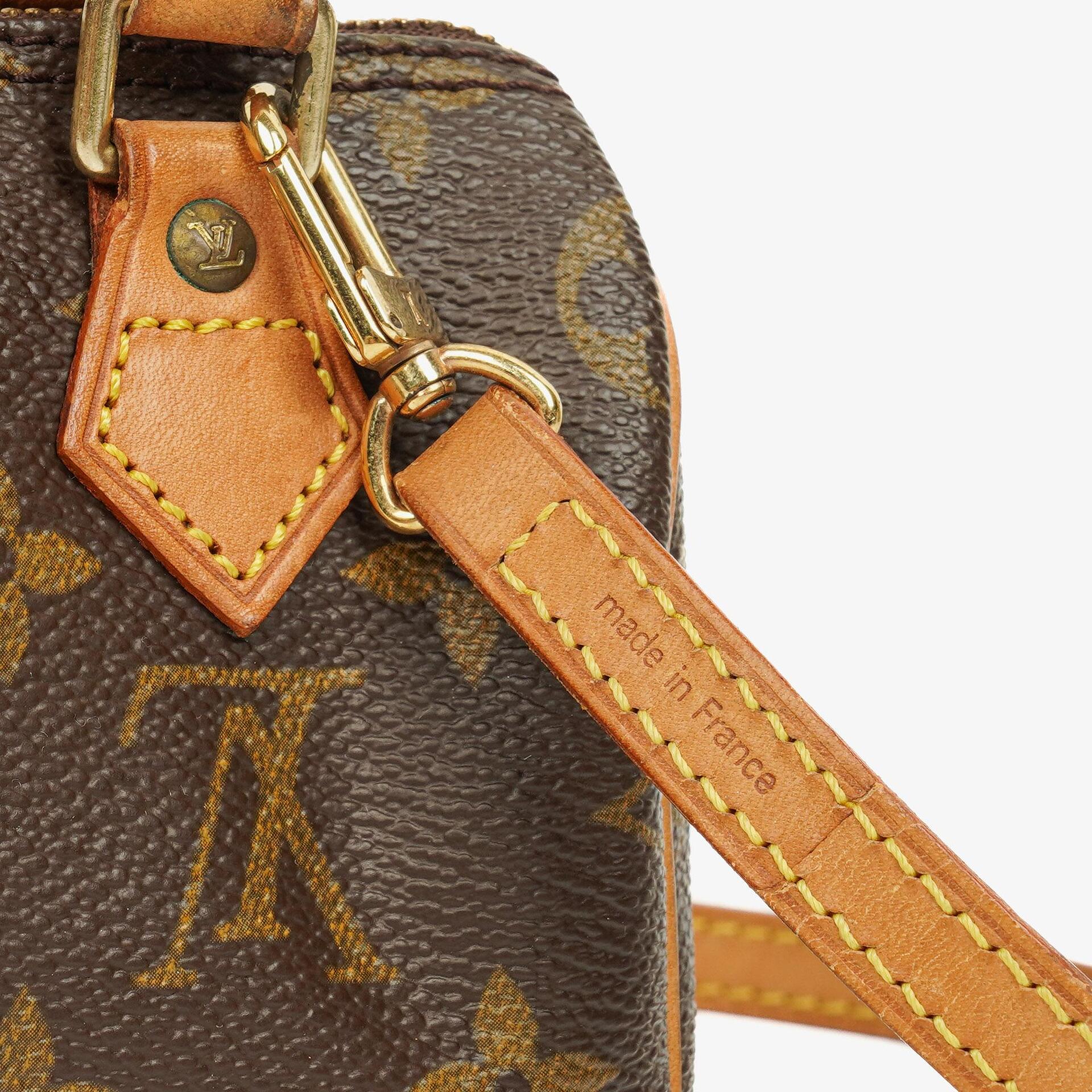 Louis Vuitton Nano Speedy Monogram Canvas Mini Tasche