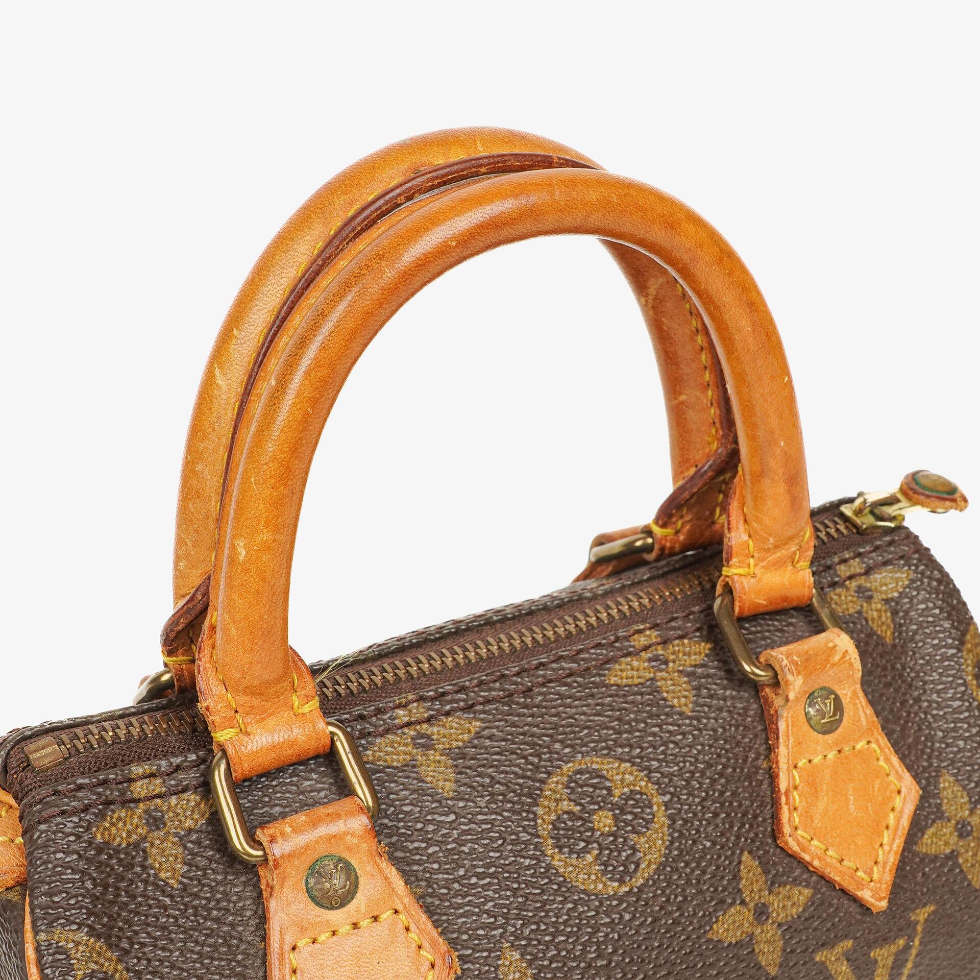 Louis Vuitton Nano Speedy Mini-Tasche aus Monogram Canvas