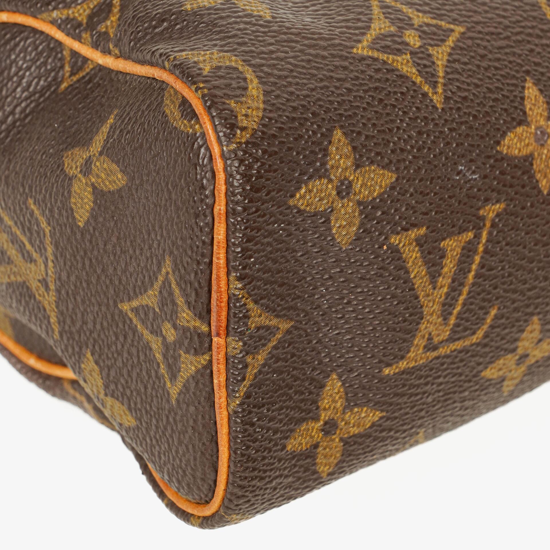 Louis Vuitton Nano Speedy Mini-Tasche aus Monogram Canvas