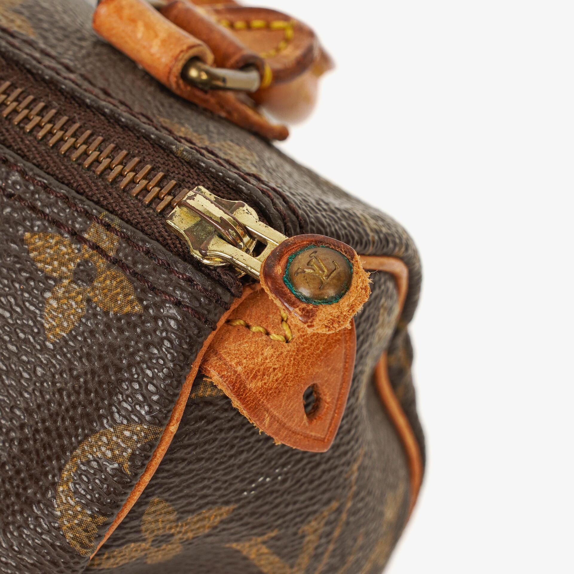 Louis Vuitton Nano Speedy Mini-Tasche aus Monogram Canvas