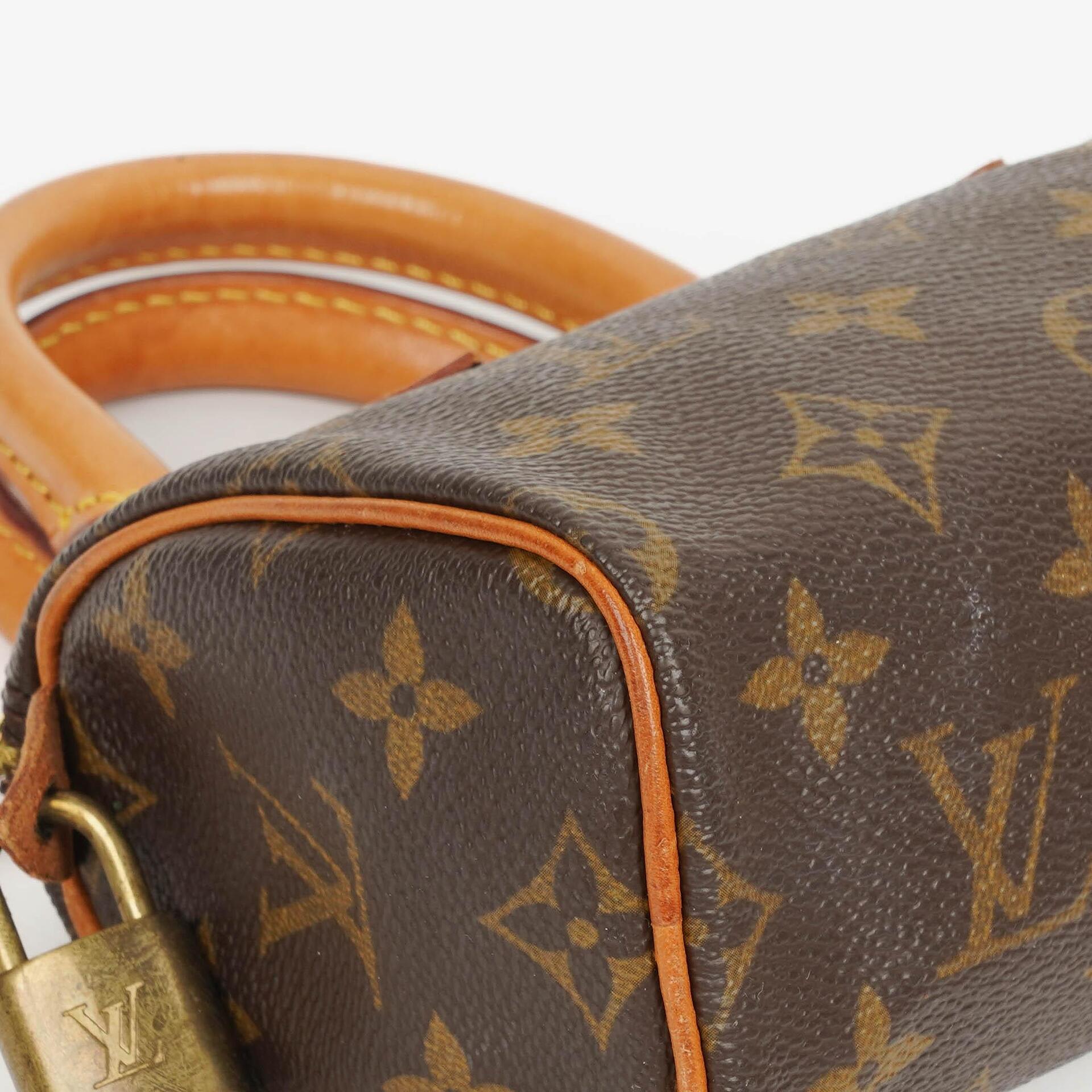 Louis Vuitton Nano Speedy Mini Handtasche Monogram Canvas
