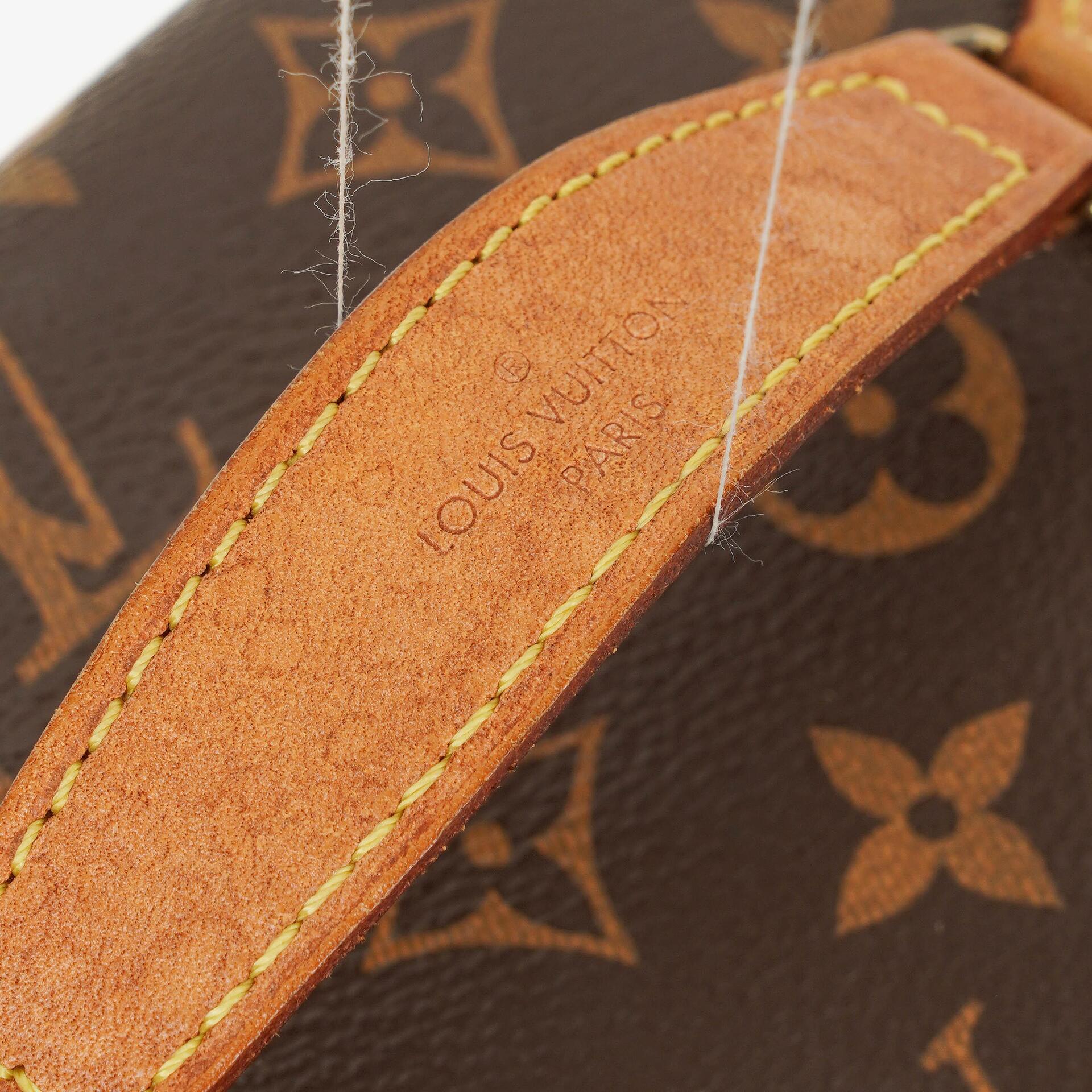 Louis Vuitton Nice BB Kosmetiktasche aus Monogram Canvas