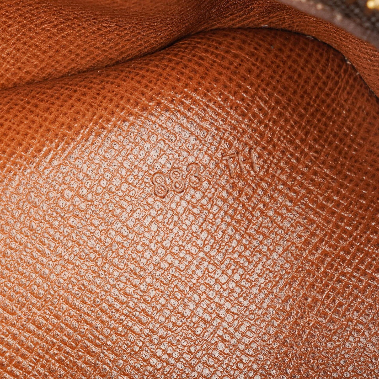 Louis Vuitton Nile GM Umhängetasche aus Monogram Canvas