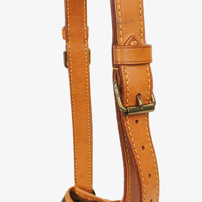 Louis Vuitton Petit Noé Schultertasche aus Monogram Canvas