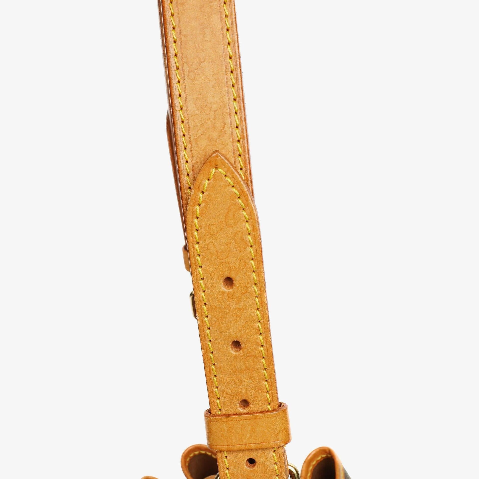 Louis Vuitton Petit Noe Schultertasche aus Monogram Canvas
