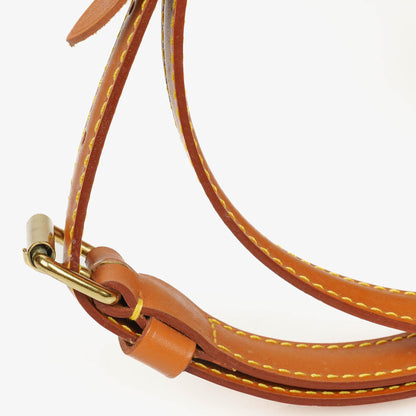 Louis Vuitton Randonnée PM Rucksack aus Epi Canvas in Cognac