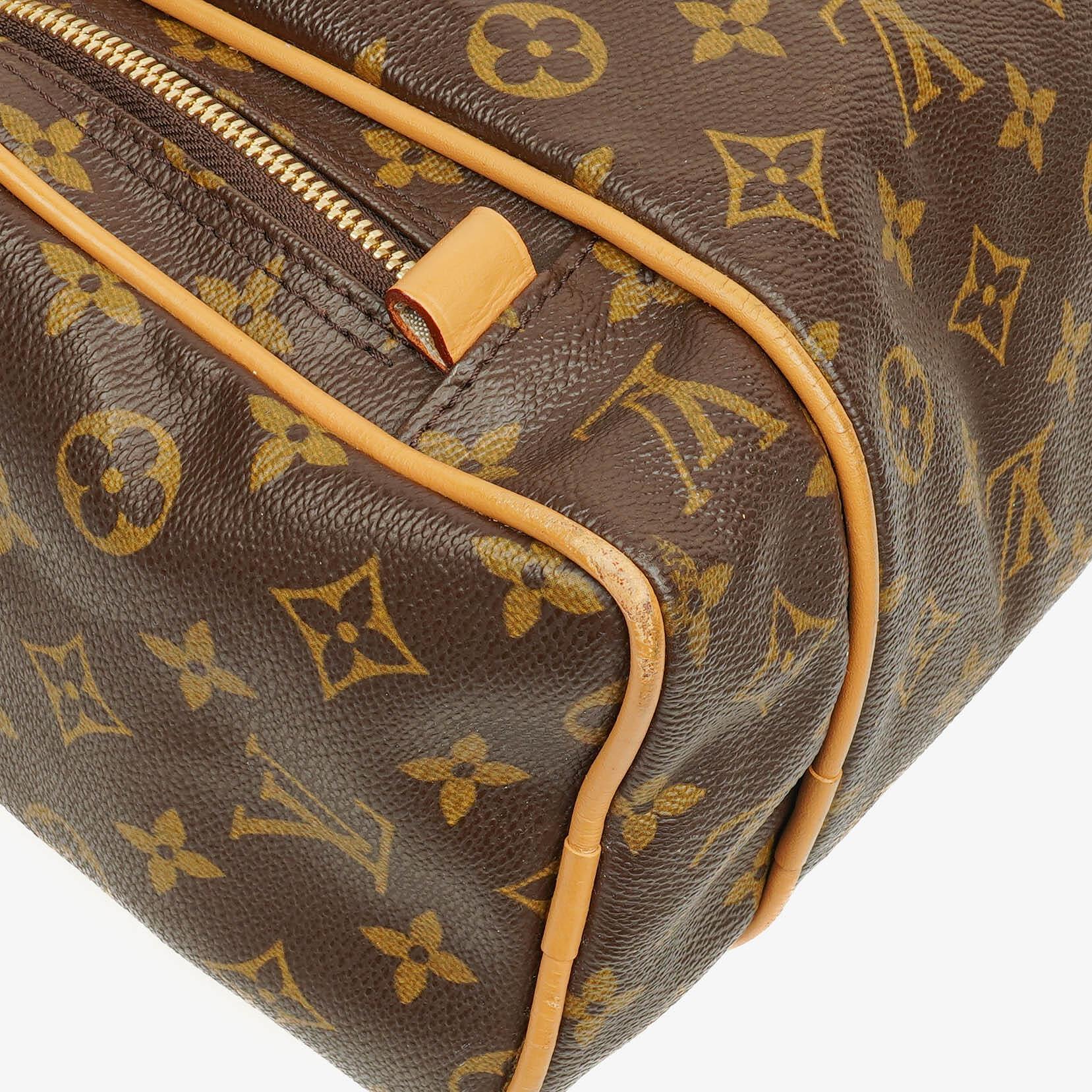 Louis Vuitton Sac Squash Monogram Canvas Tasche