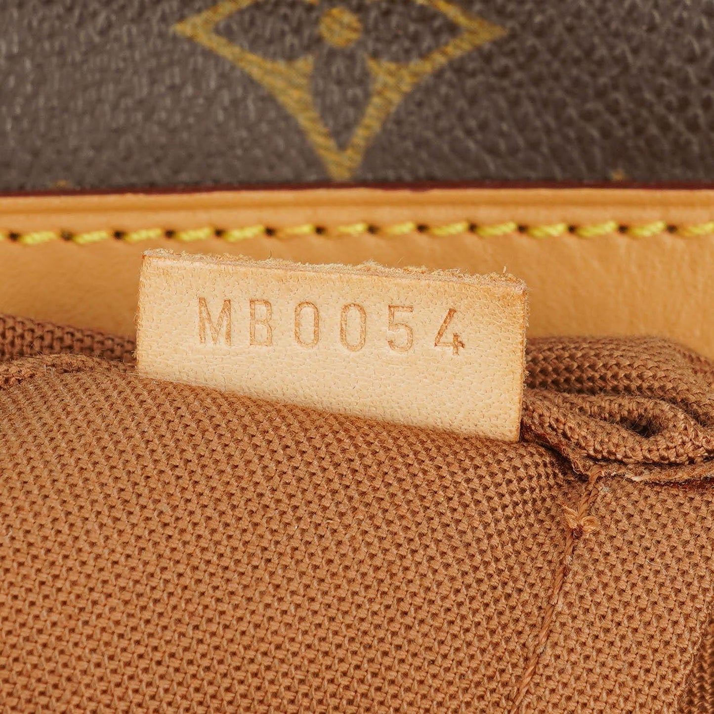 Louis Vuitton Sac Squash Monogram Canvas Tasche