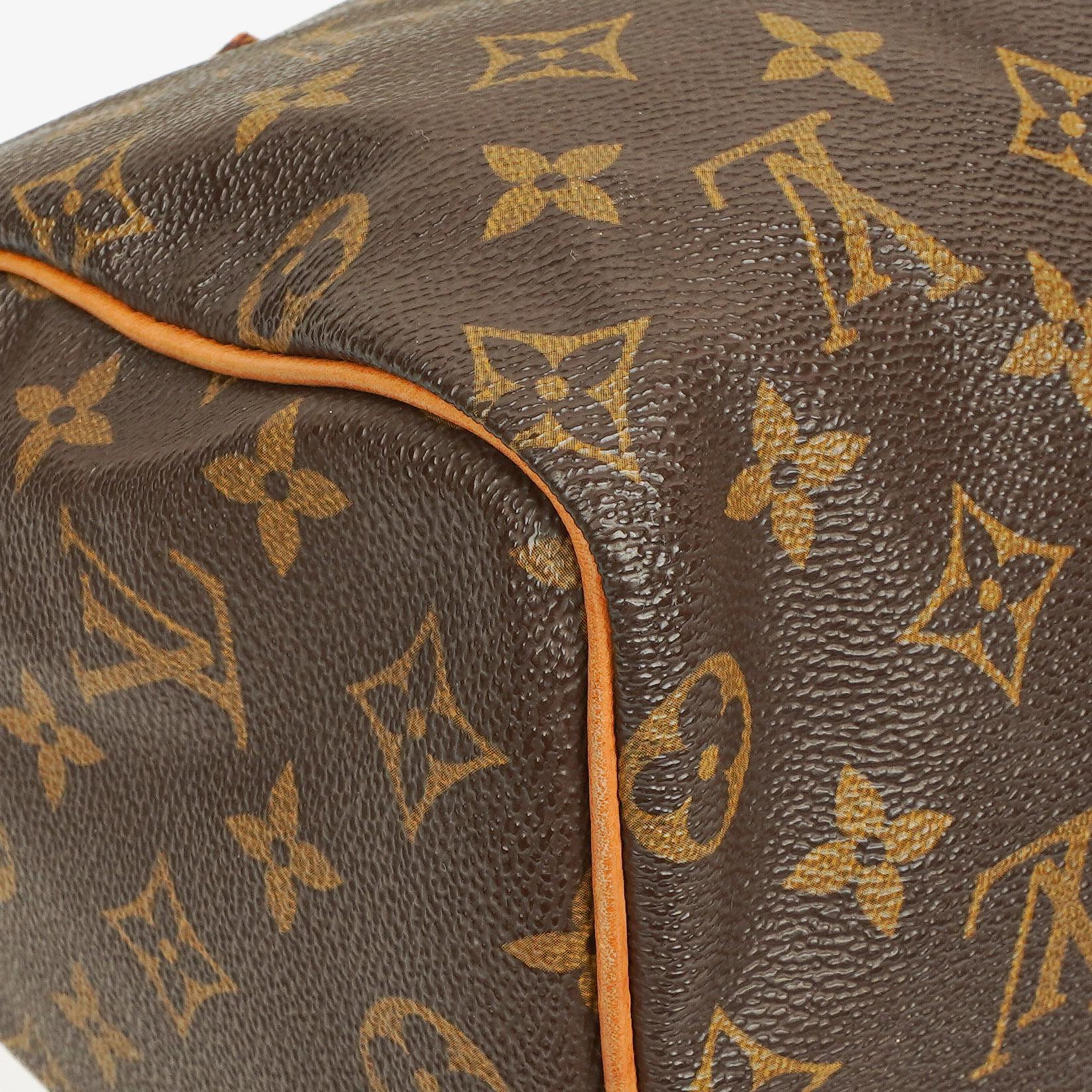 Louis Vuitton Speedy 25 Monogram Canvas Tasche