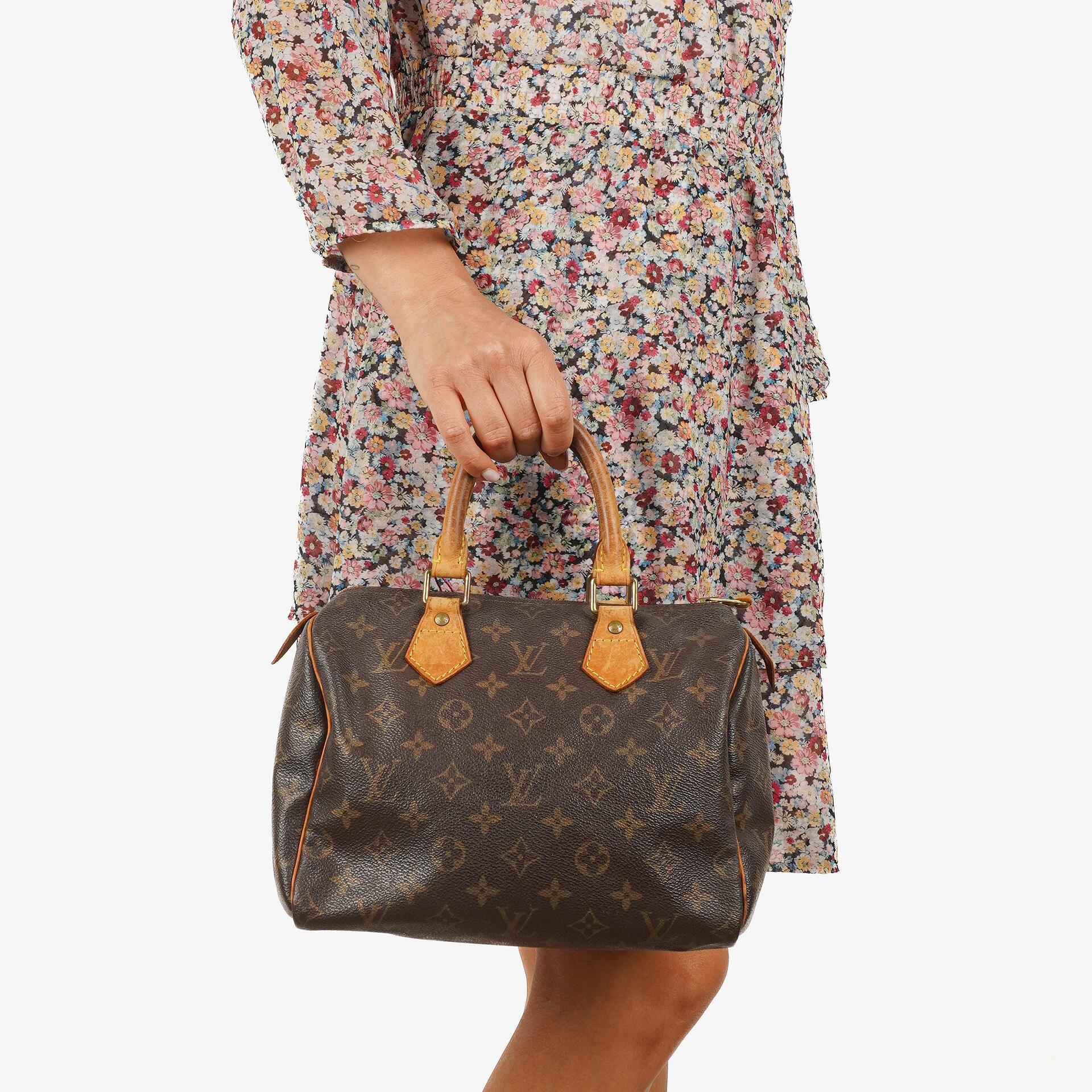 Louis Vuitton Speedy 25 Monogram Canvas Handtasche