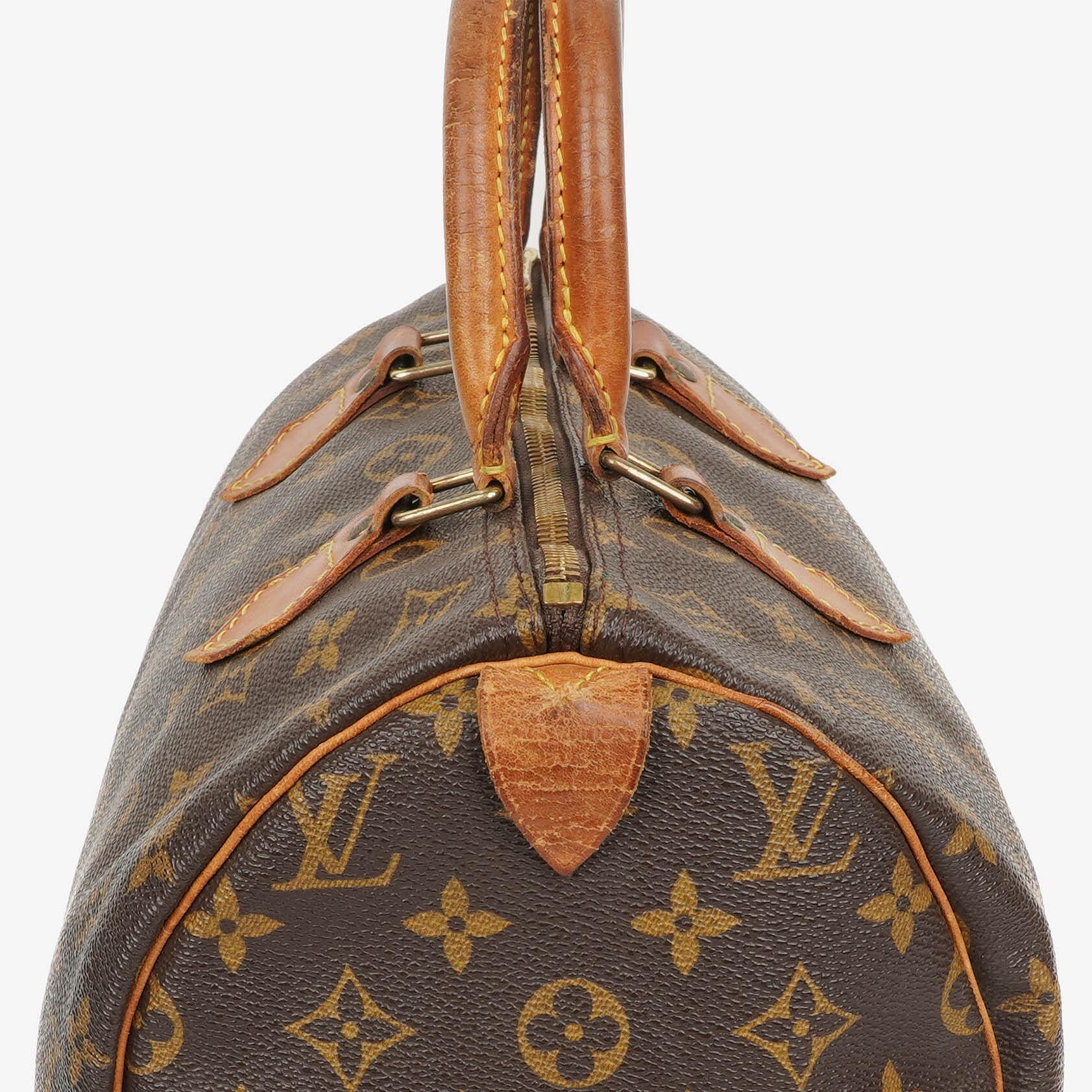 Louis Vuitton Speedy 30 Monogram Canvas Handtasche