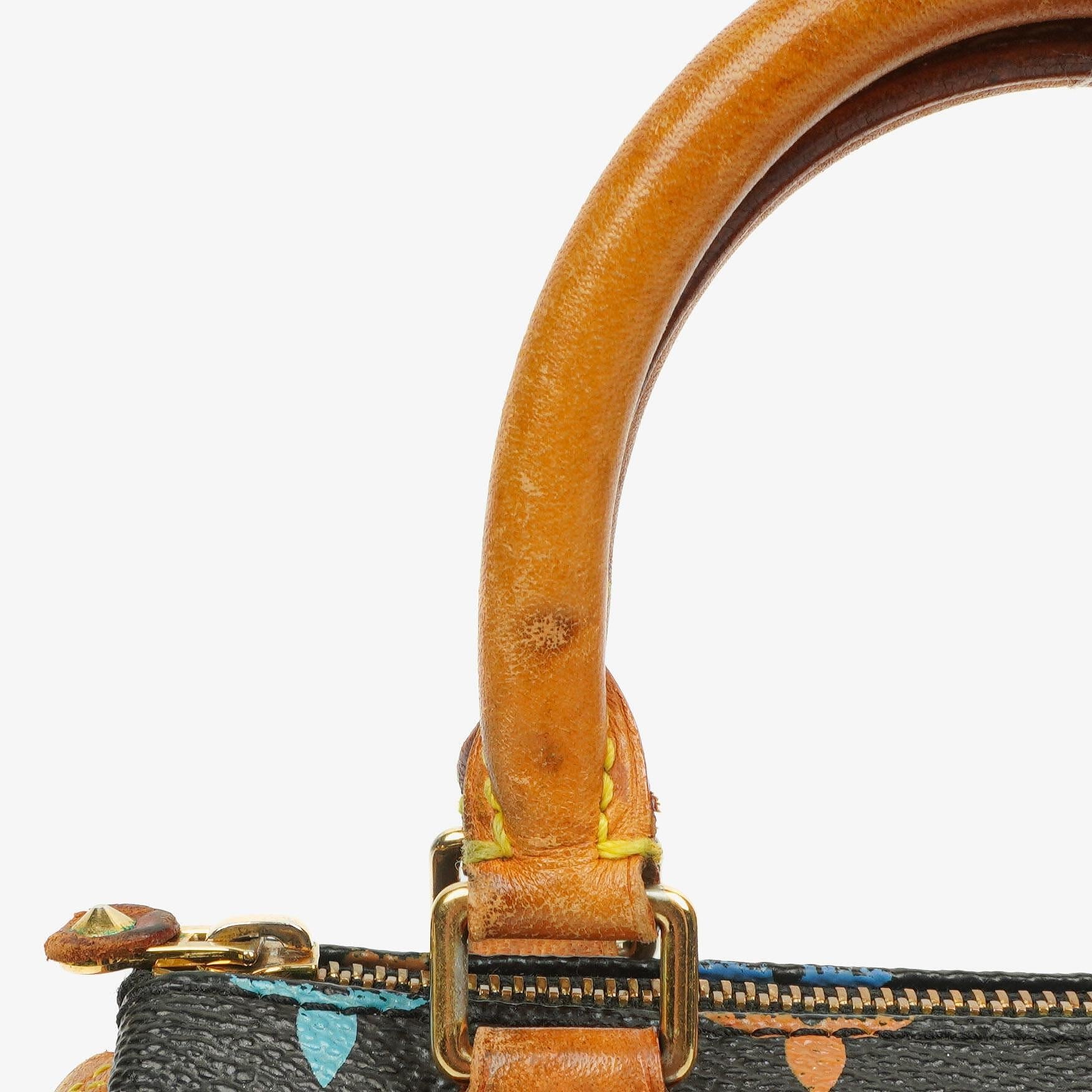 Louis Vuitton Takashi Murakami Nano Speedy Schwarz Mehrfarbiges Monogram Beschichtetes Canvas Mini Tasche