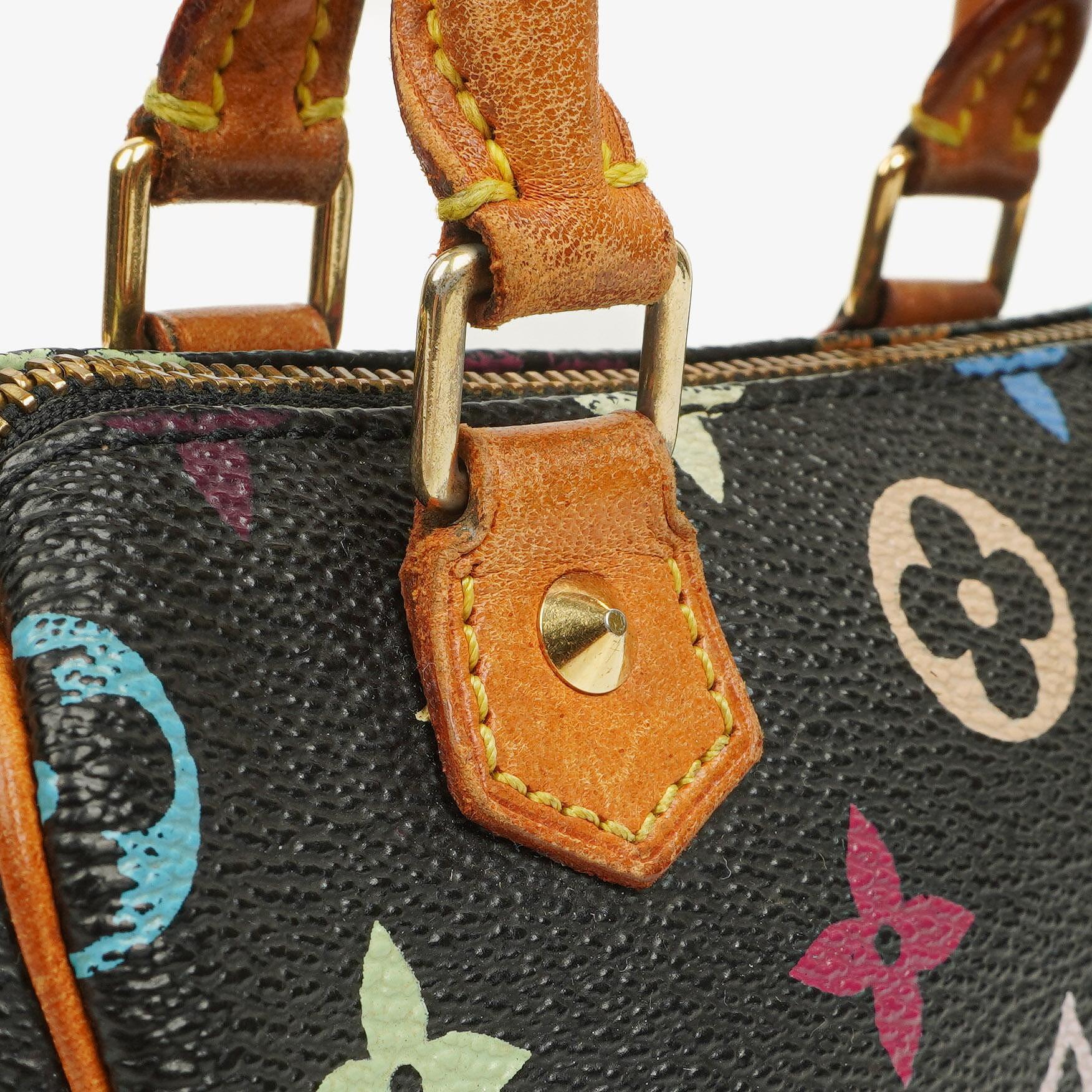 Louis Vuitton Takashi Murakami Nano Speedy Schwarz Mehrfarbiges Monogram Beschichtetes Canvas Mini Tasche