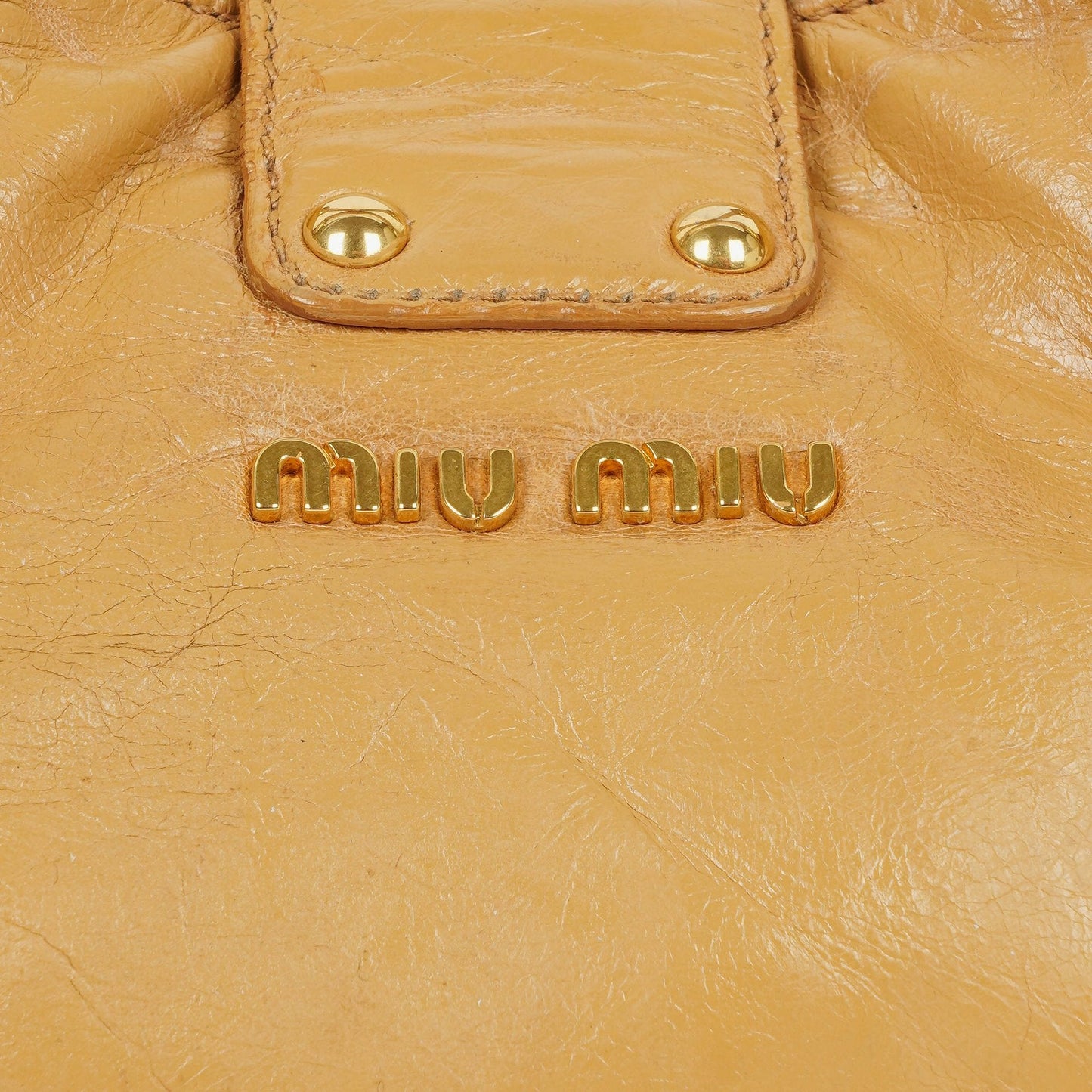 Miu Miu Lux Tote Bag aus Leder