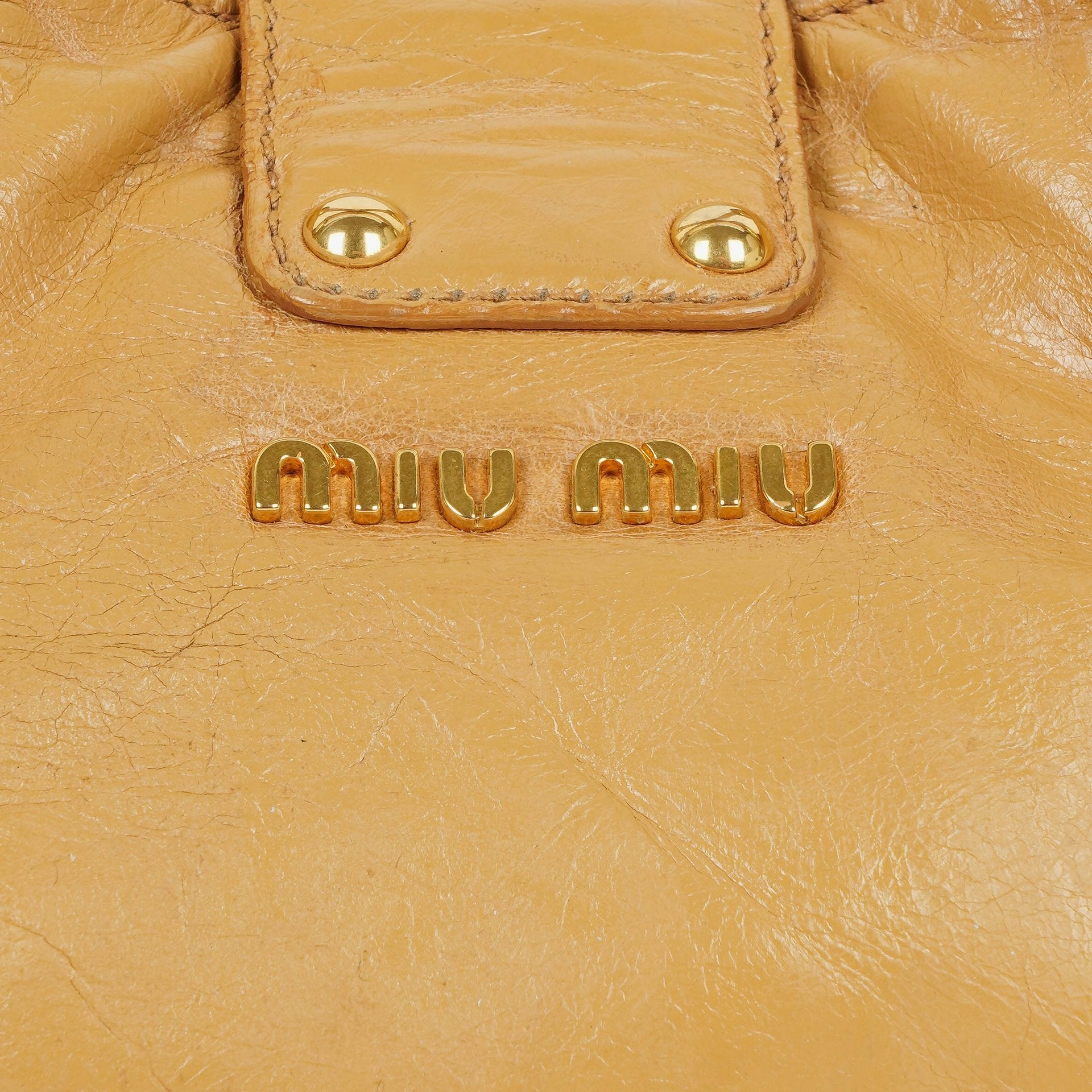 Miu Miu Lux Tote Bag aus Leder