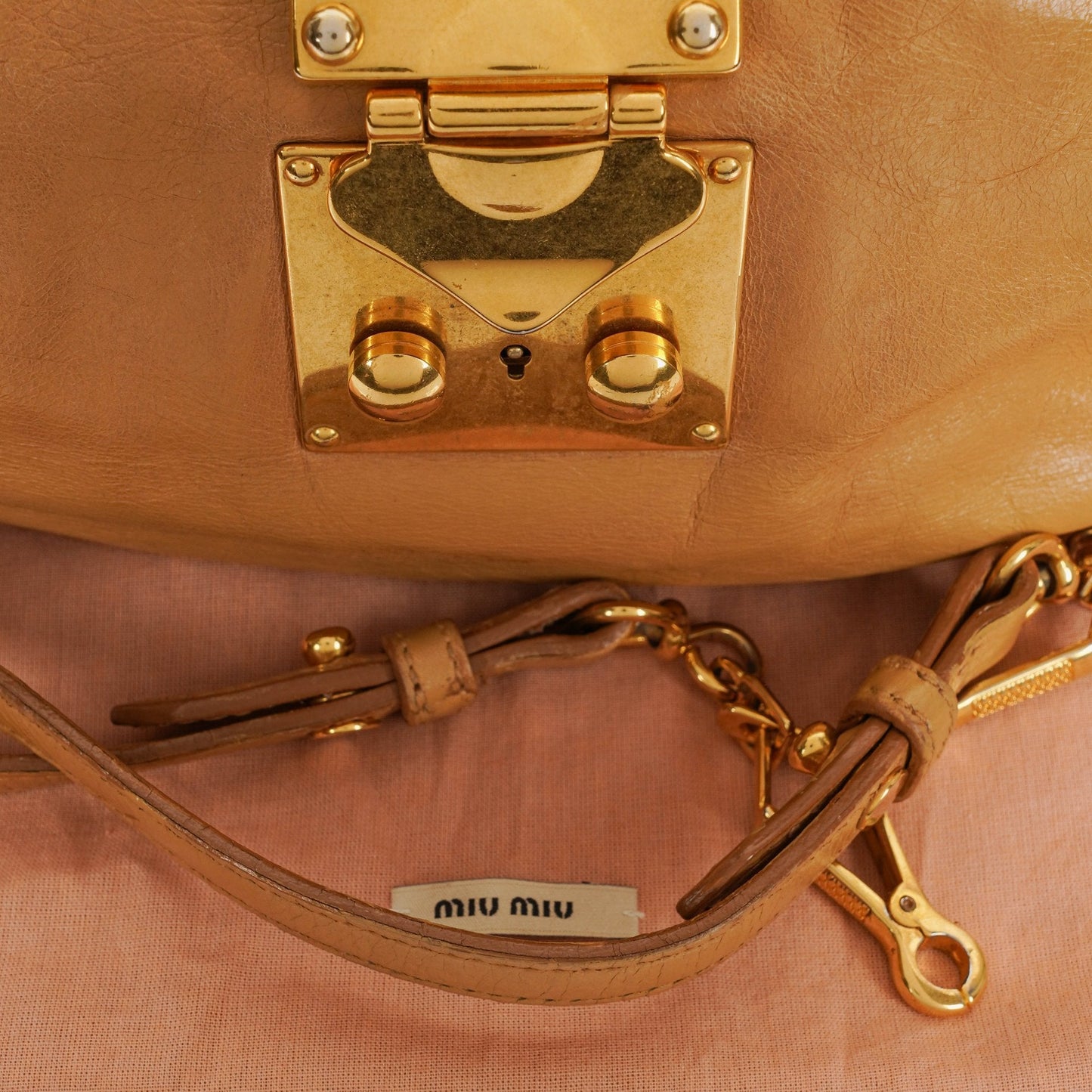 Miu Miu Lux Tote Bag aus Leder