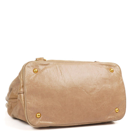 Miu Miu Vitello Shine Tote Bag Cammeo