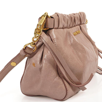 Miu Miu Vitello Shine Crossbody Clutch Bag Mughetto