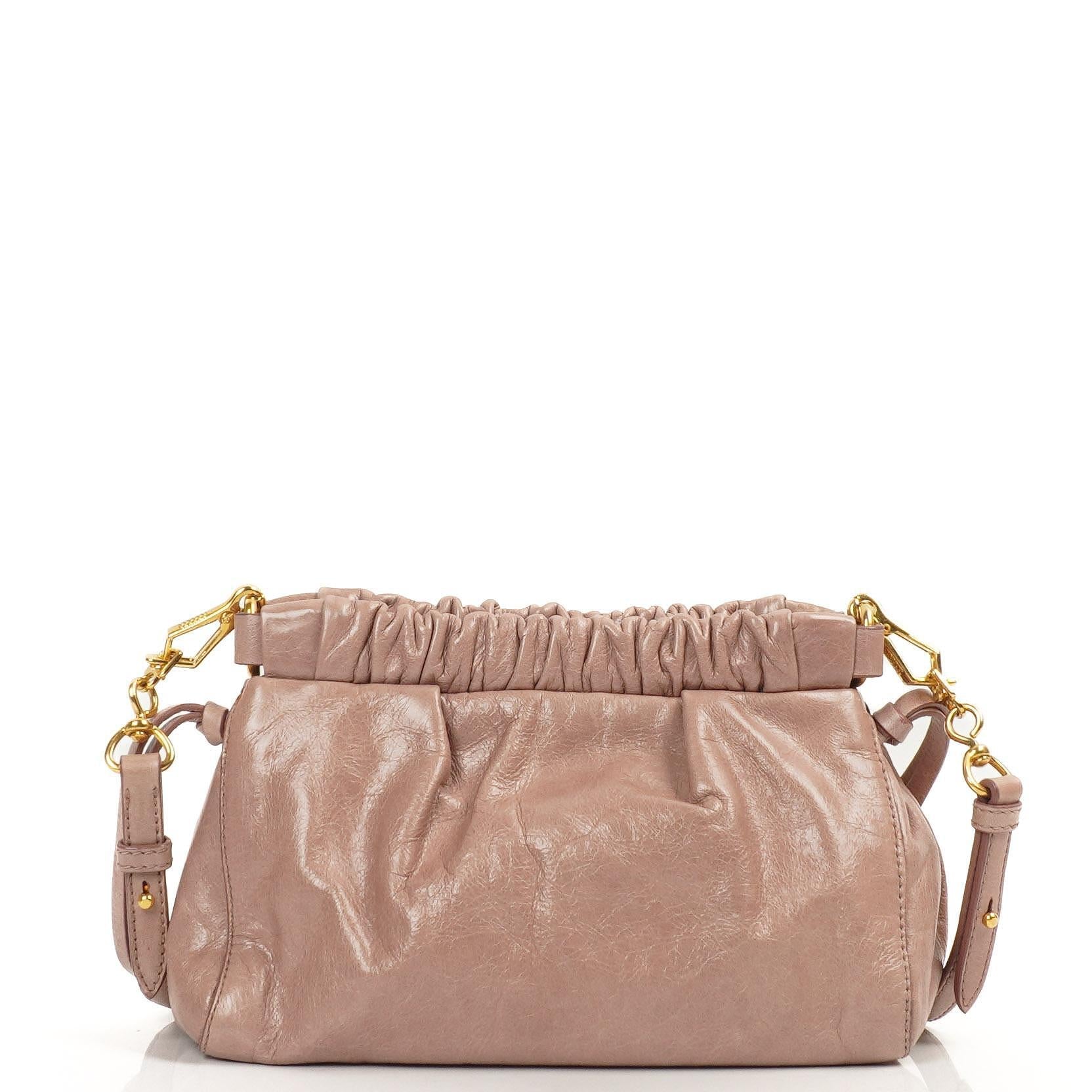 Miu Miu Vitello Shine Crossbody Clutch Bag Mughetto
