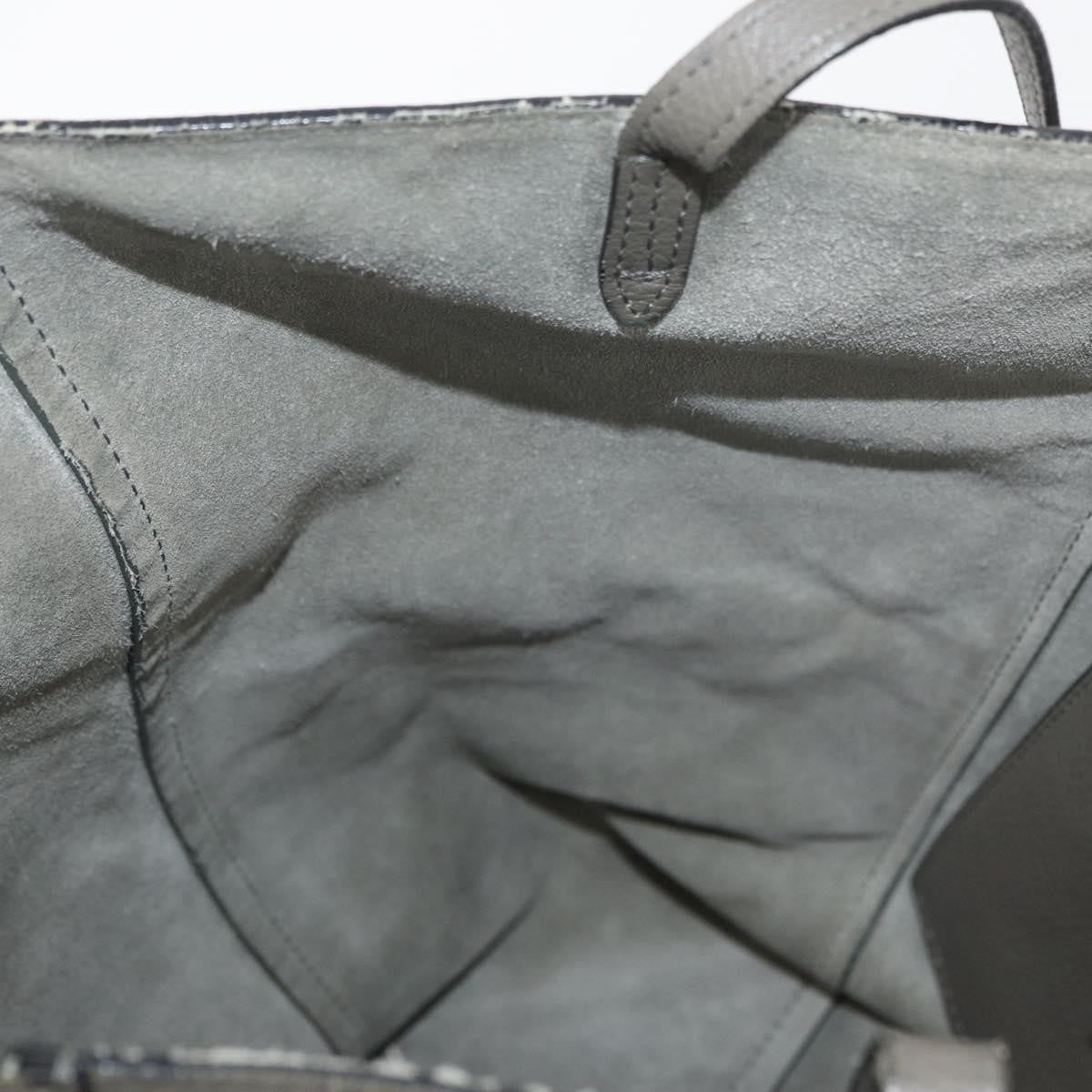 Celine CELINE Cabas Phantom Tote Bag Leather Gray Silver Authentic hk3679
