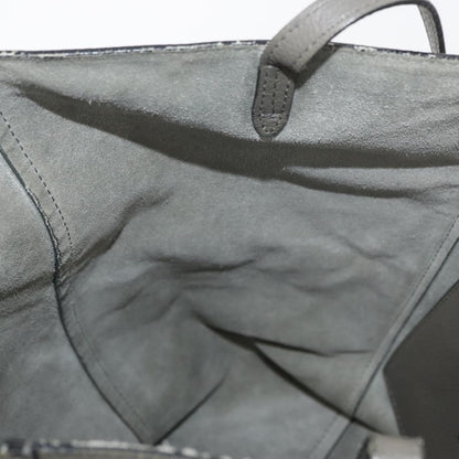 Celine CELINE Cabas Phantom Tote Bag Leather Gray Silver Authentic hk3679