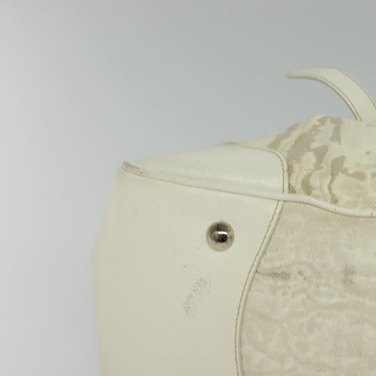 Prada PRADA Shoulder Bag Canvas Silver White Authentic fm4672