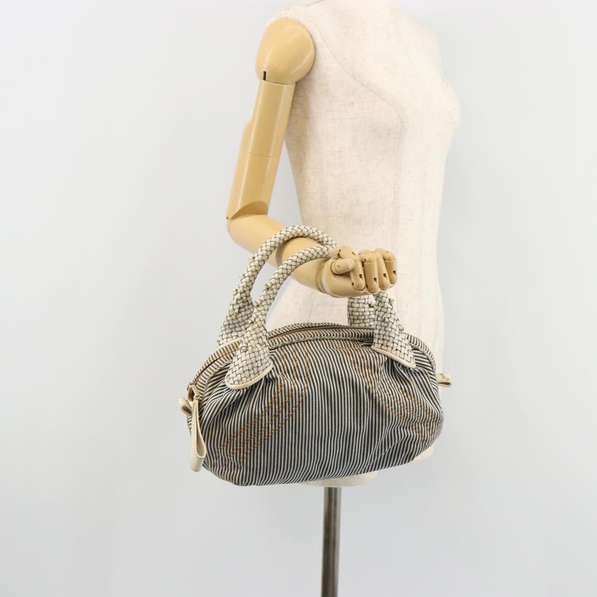 Fendi FENDI Spy Hand Bag Canvas Navy Gold Authentic bs35147A