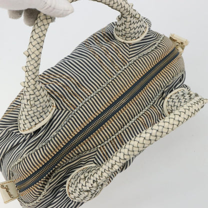 Fendi FENDI Spy Hand Bag Canvas Navy Gold Authentic bs35147A