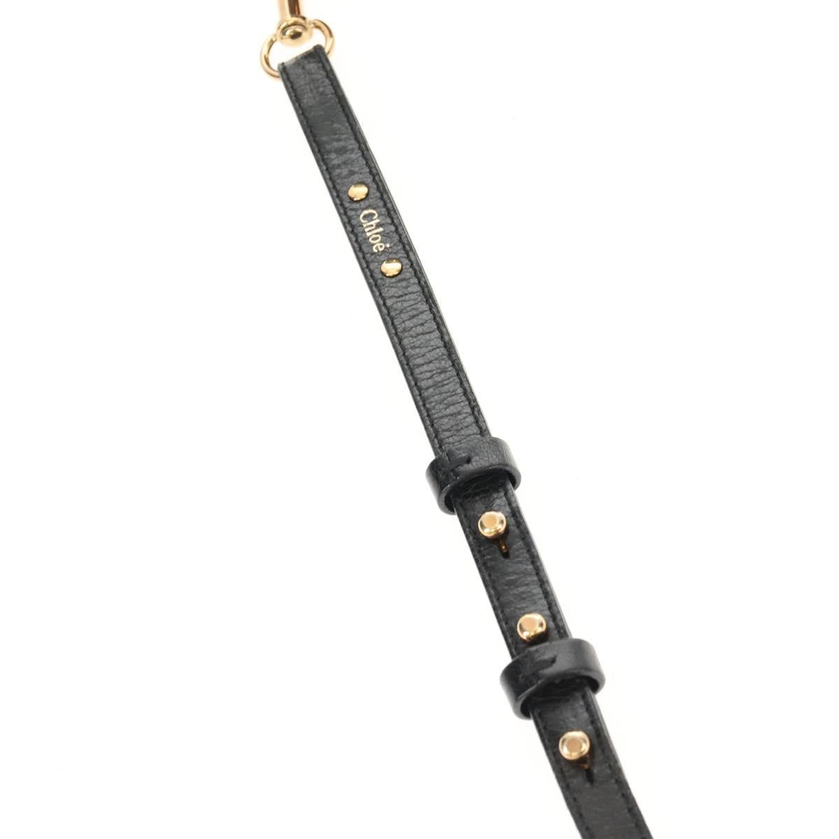 Chloé Chloé Chloe Etel Hand Bag Leather 2way Black Authentic BA6838