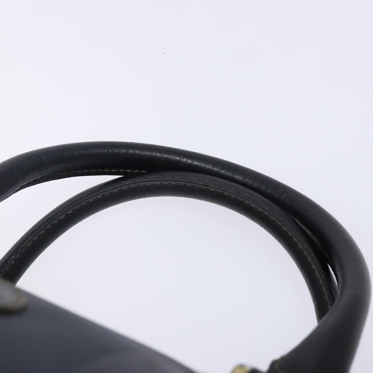 Fendi FENDI Pecan Canvas Hand Bag Navy Gold Authentic ep10858