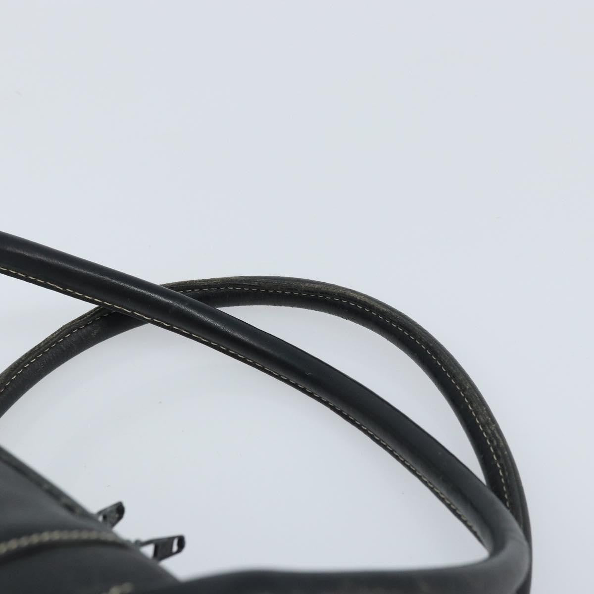 Dior Christian Dior Hand Bag Leather Black Gold Authentic ep13686
