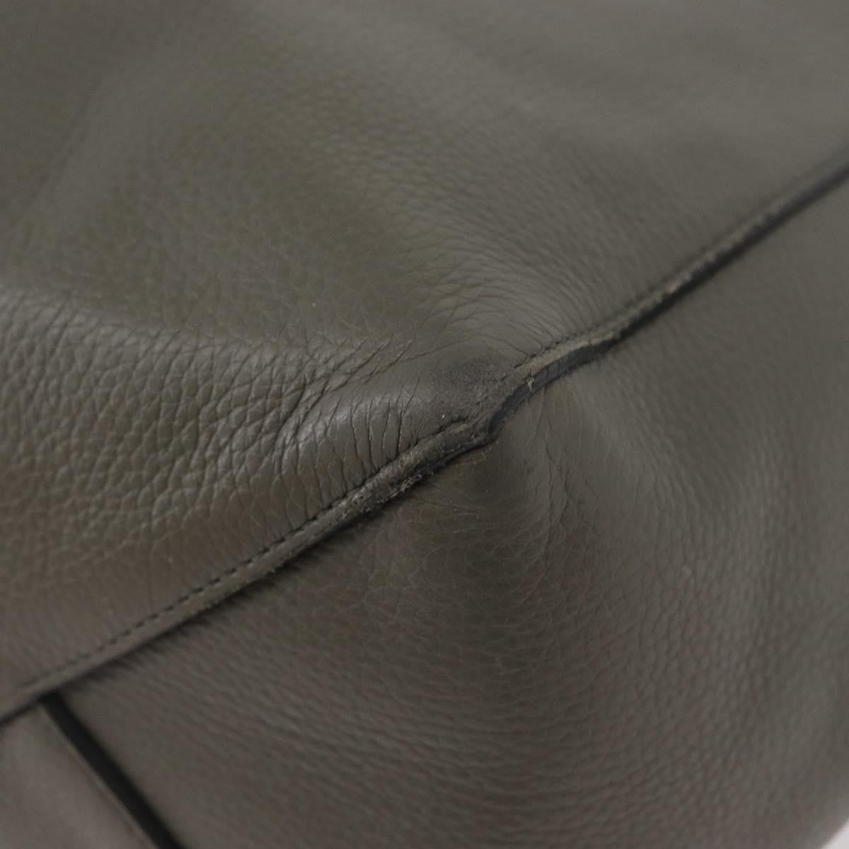 Celine CELINE Cabas Phantom Tote Bag Leather Gray Silver Authentic hk3679