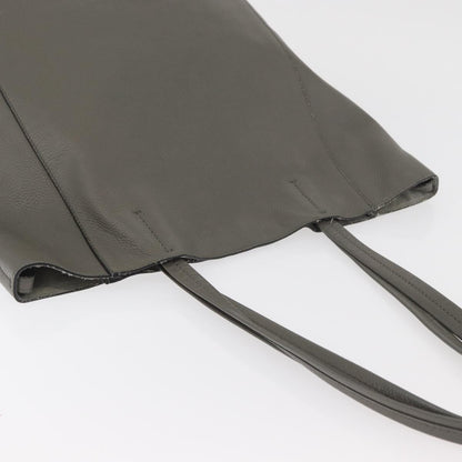 Celine CELINE Cabas Phantom Tote Bag Leather Gray Silver Authentic hk3679