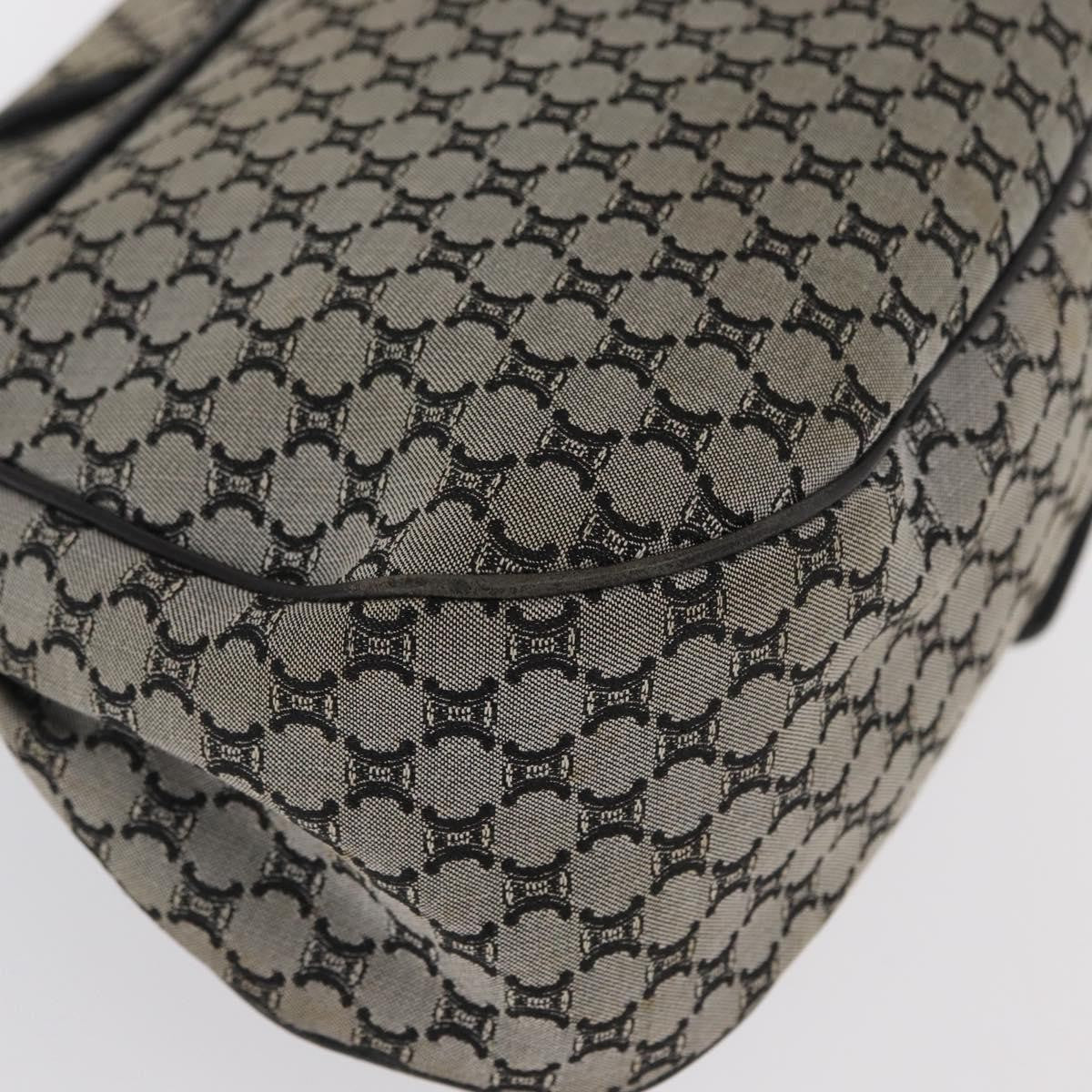 Celine CELINE Macadam Canvas Hand Bag Beige Silver Authentic ep13183