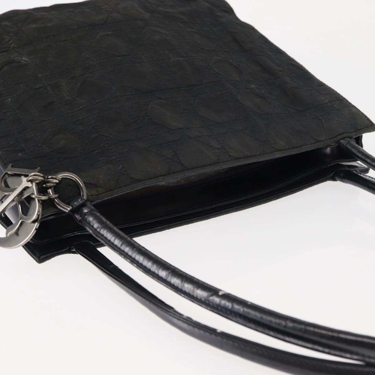 Dior Christian Dior Canage Shoulder Bag Nylon Black Silver Authentic 144646