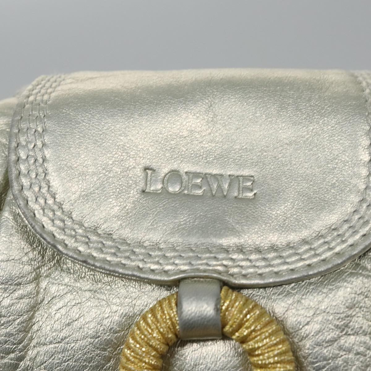 Loewe LOEWE Fringe Shoulder Bag Leather Silver tone Authentic 99979