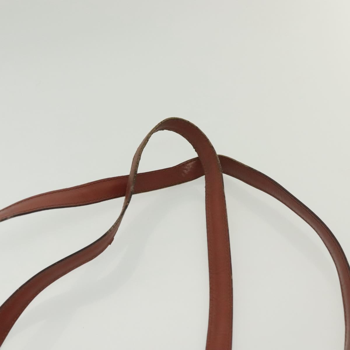 Louis Vuitton LOUIS VUITTON Epi Lussac Shoulder Bag Brown M52283 LV Authentic 136432