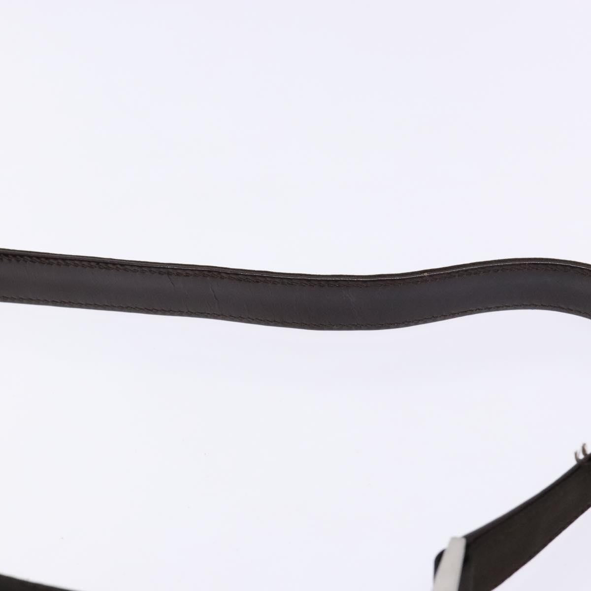 Gucci GUCCI Shoulder Bag Nylon Brown Silver 001 3017 Authentic 135184