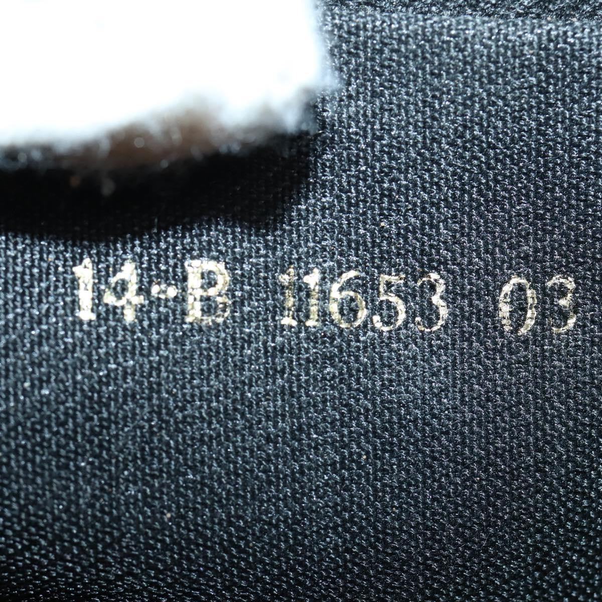 Fendi FENDI Pecan Canvas Hand Bag 2way Black Brown Authentic mr1555