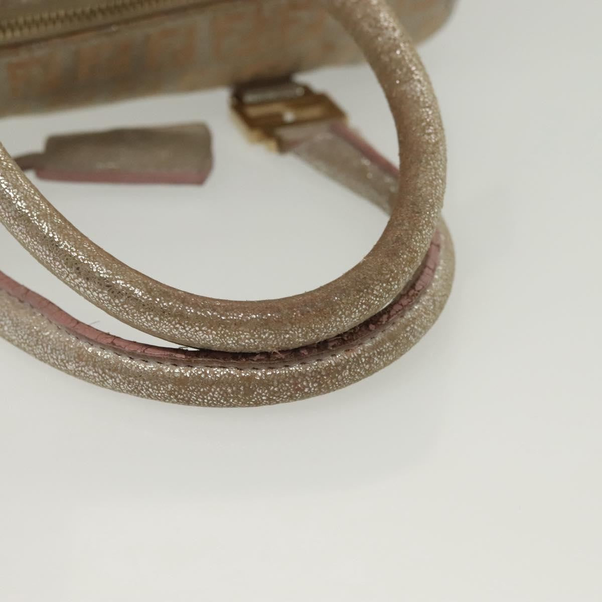Fendi FENDI Zucchino Canvas Hand Bag Silver Gold Authentic 139411