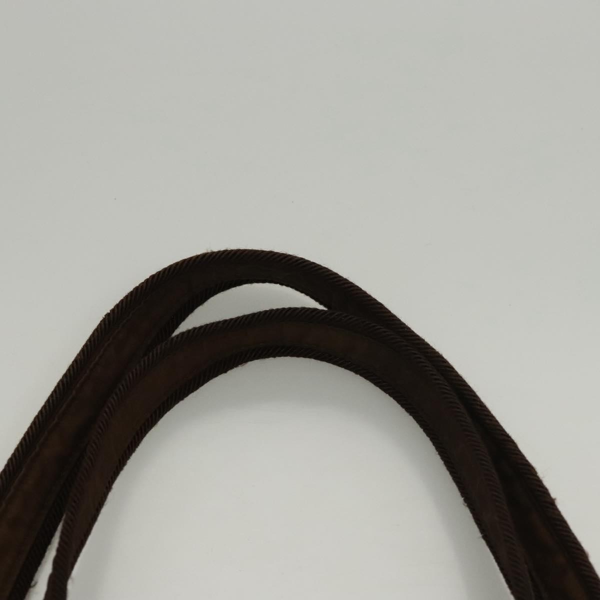 Prada PRADA Tote Bag Nylon Brown Authentic th5852