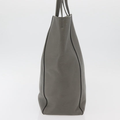 Celine CELINE Cabas Phantom Tote Bag Leather Gray Silver Authentic hk3679
