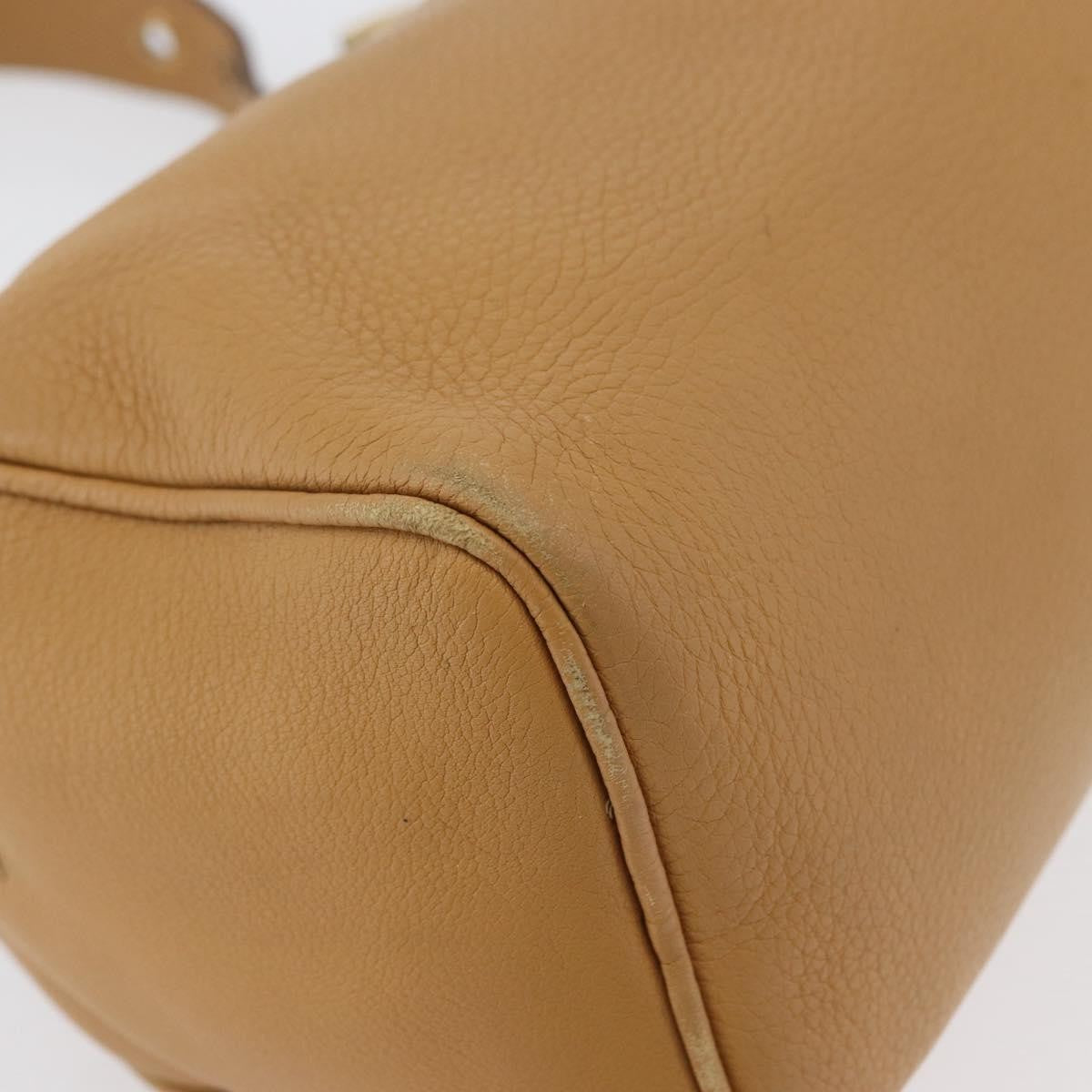 Prada PRADA Shoulder Bag Leather Brown Gold Authentic 172272