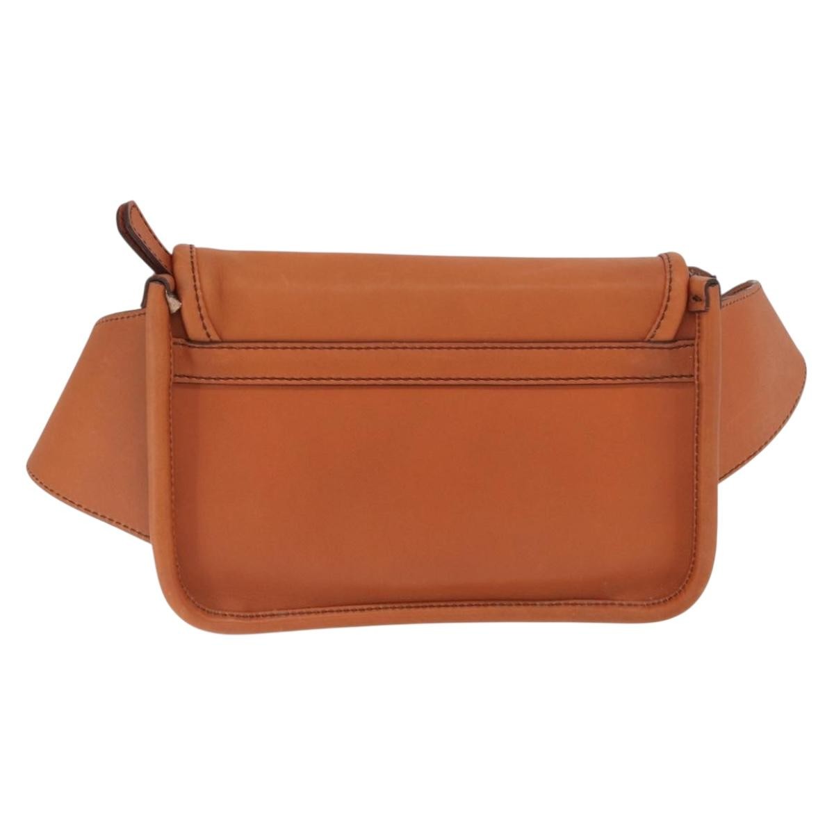 Coach Coach Body Bag Leather Brown Authentic am10204